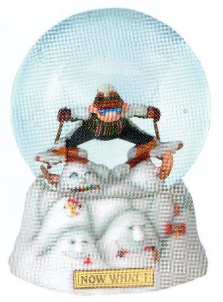 Now What? Snow Skiing Glitter Globe