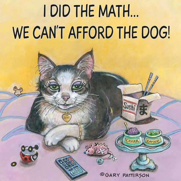 I Did the Math Cat Magnet