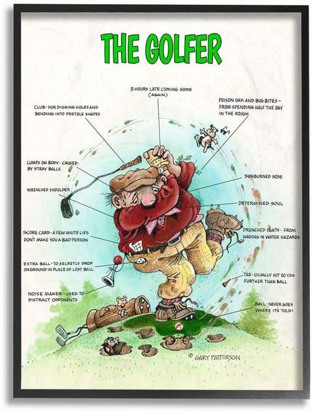 The Golfer 16x20 Framed Golf Print