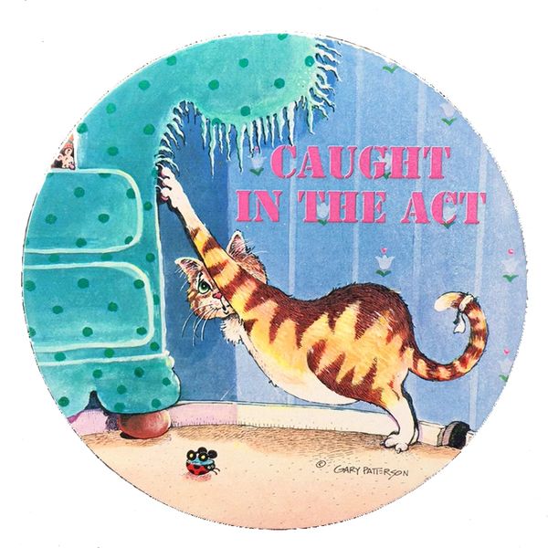Caught In The Act Absorbent Coaster Set