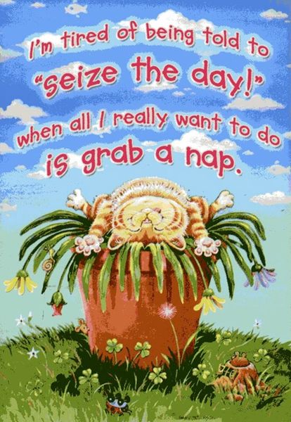 Seize The Day Refridgerator Magnet