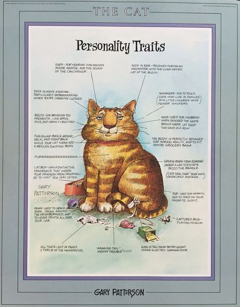 The Cat Personality Traits