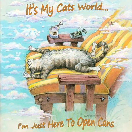 My Cats World Cat Magnet