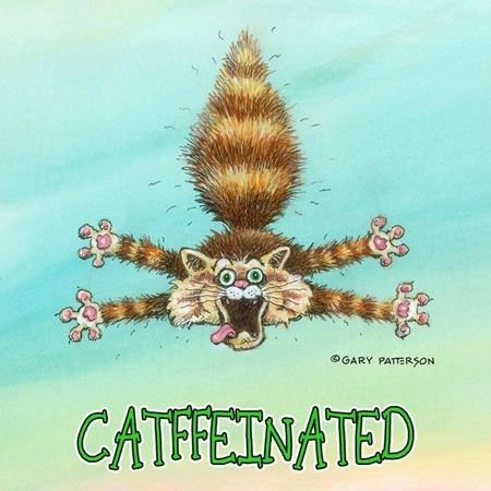 Catfeeinated Cat Magnet