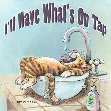 What's on Tap Cat Magnet