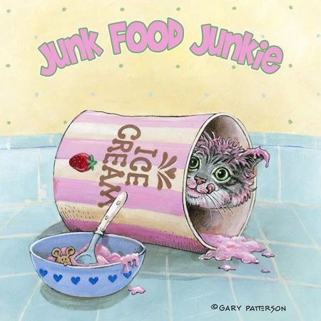 Junk Food Junkie Cat Magnet