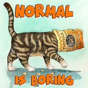 Normal is Boring Cat Magnet