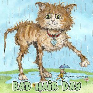 Bad Hair Day Cat Magnet