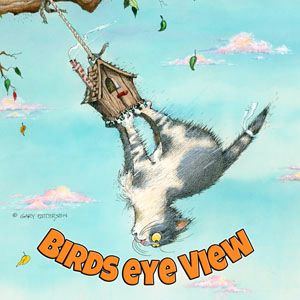 Birds Eye View Cat Magnet