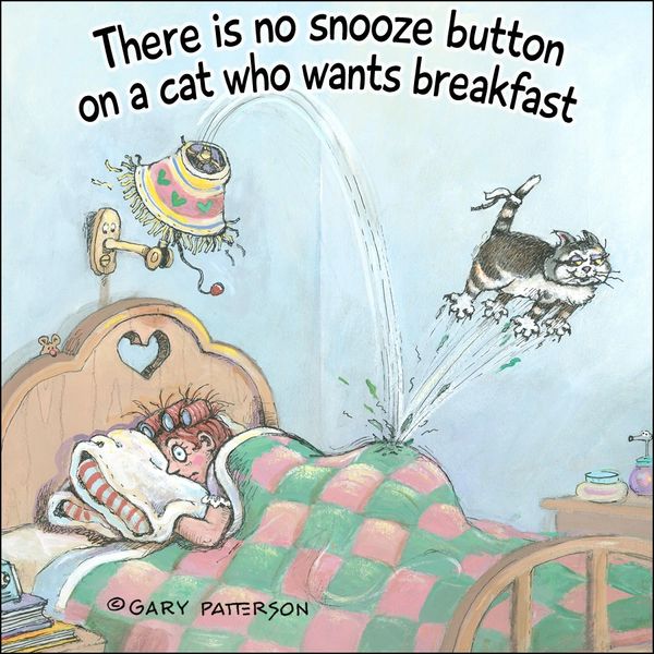 Snooze Button Cat Magnet