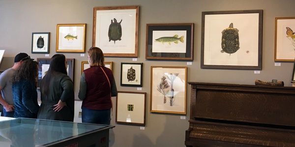 A group of people admiring the wildlife watercolor artwork of Dani Knoph Davis.