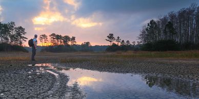 Image of wetland area and sunset