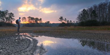 Image of wetland area and sunset