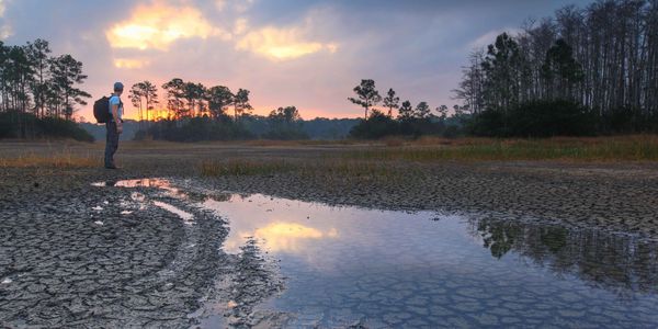Image of wetland area and sunset