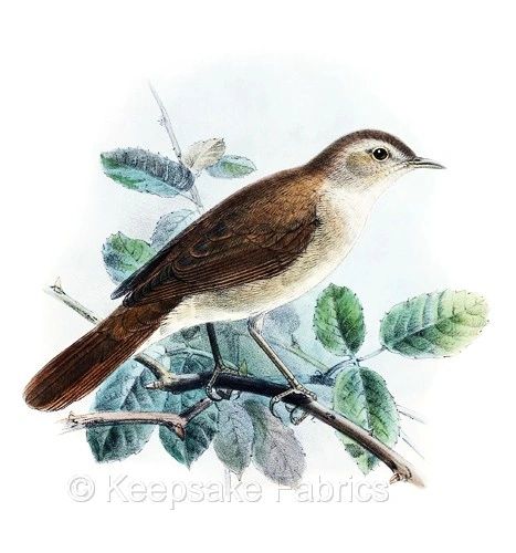 Beautiful Nightingale Bird Fabric Block | Keepsake Fabrics