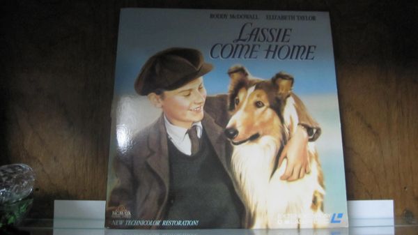 Lassie Come Home Laserdisc Starring Roddy Mcdowell Elizabeth Taylor Arlington Collectibles 