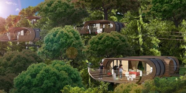 TREE HOUSE PODS, FOREST POD 
MODULAR BUILD, sustainable investment, Green, ecotourism