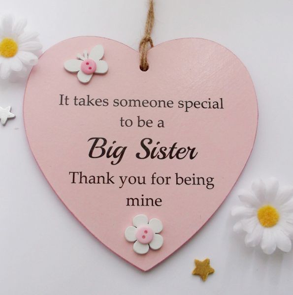 It takes someone special to be a Big Sister handmade wooden heart gift plaque 