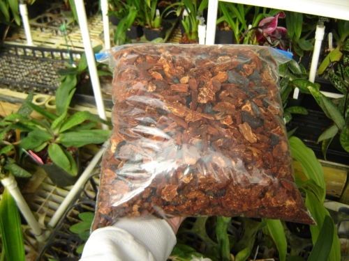 1 Gal. bag potting mix for Cattleyas & Dendrobiums