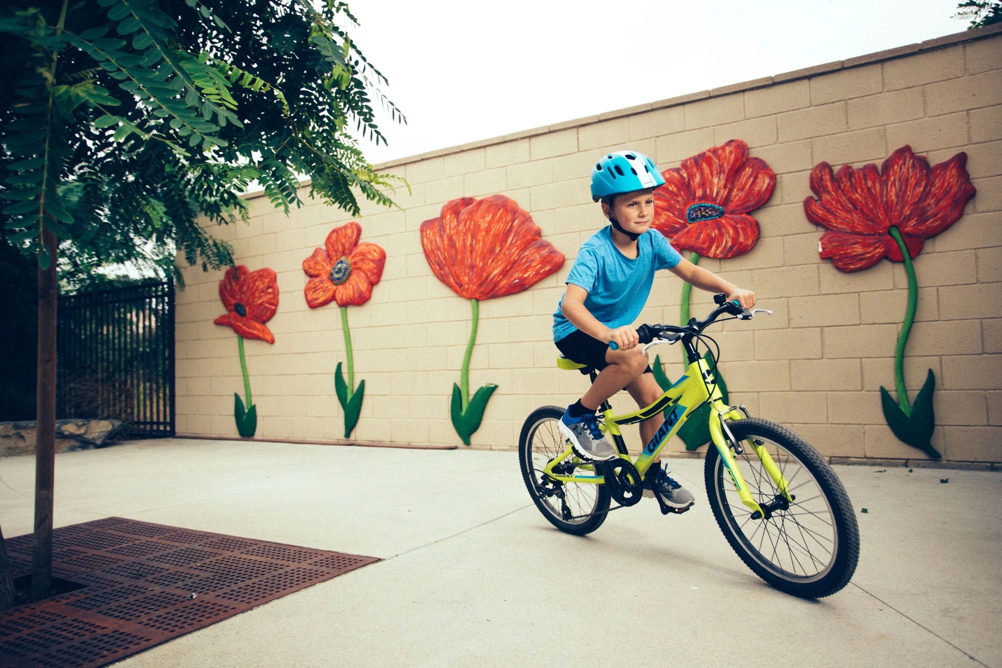 Child's Bike (no gears) (please bring your bike in after 10 o’clock on