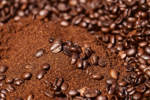 Gold Mountain Blend Medium Roast Nicaragua Single Origin