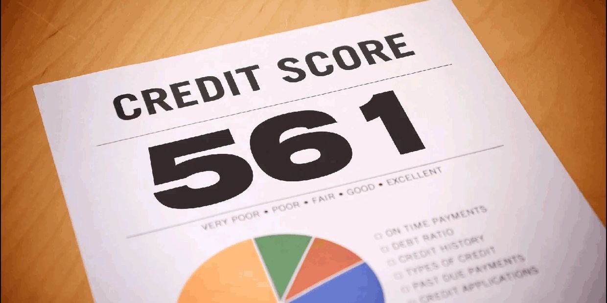 Credit score report showing a score of 561 with a colorful pie chart.
