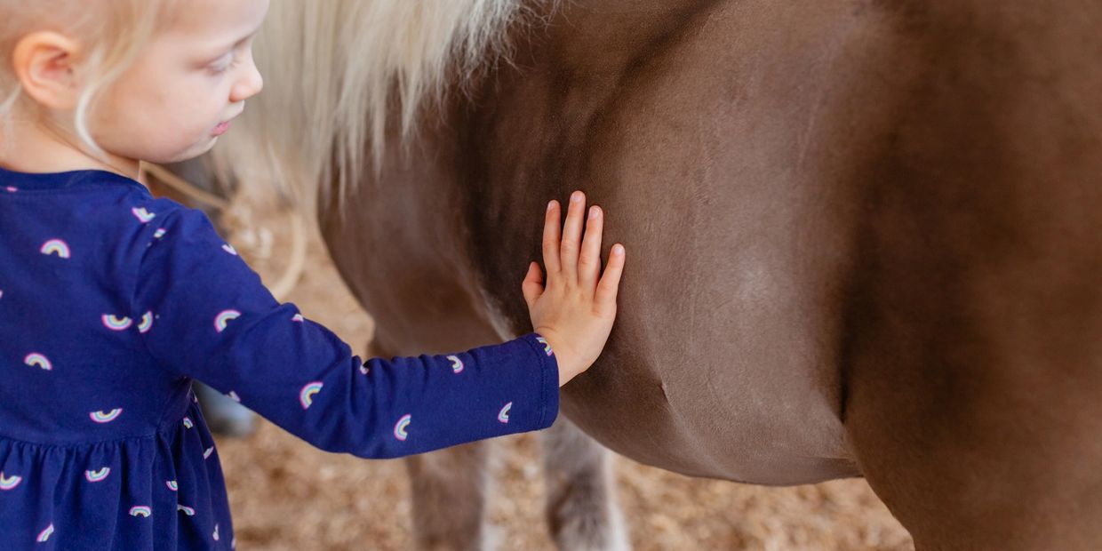 children and miniature horses