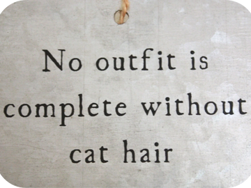 Galvanized Metal Sign - No Outfit Is Complete Without Cat Hair