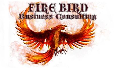 Marketing Strategy - Marketing Consulting - Advertising Strategies - Firebird Business Consulting