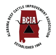 Alabama BCIA