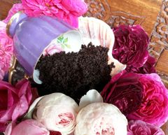 Aromatherapeutic Botanical Natural Body Scrub | Coffee ~ Rose ~ Pomegranate ~ Peppermint ~ Rose Geranium ~ Acai Berry | Homegrown Botanicals ~ Love