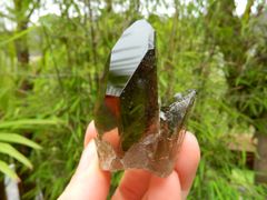 Black Smoky Quartz | Brazil ~ RARE Mineral Specimen
