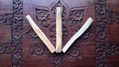 Palo Santo 'Holy Wood' Sticks x 3