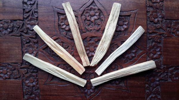 Palo Santo 'Holy Wood' Sticks x 6