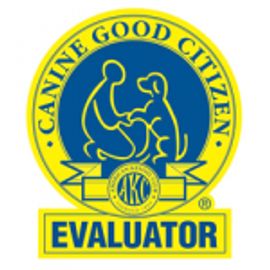 Dog Certification, AKC, AKC CGC, Dog Certification Near Me, Dog Certification Albuquerque