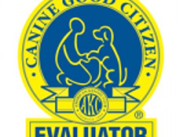 Dog Certification, AKC, AKC CGC, Dog Certification Near Me, Dog Certification San Diego, Dog Classes