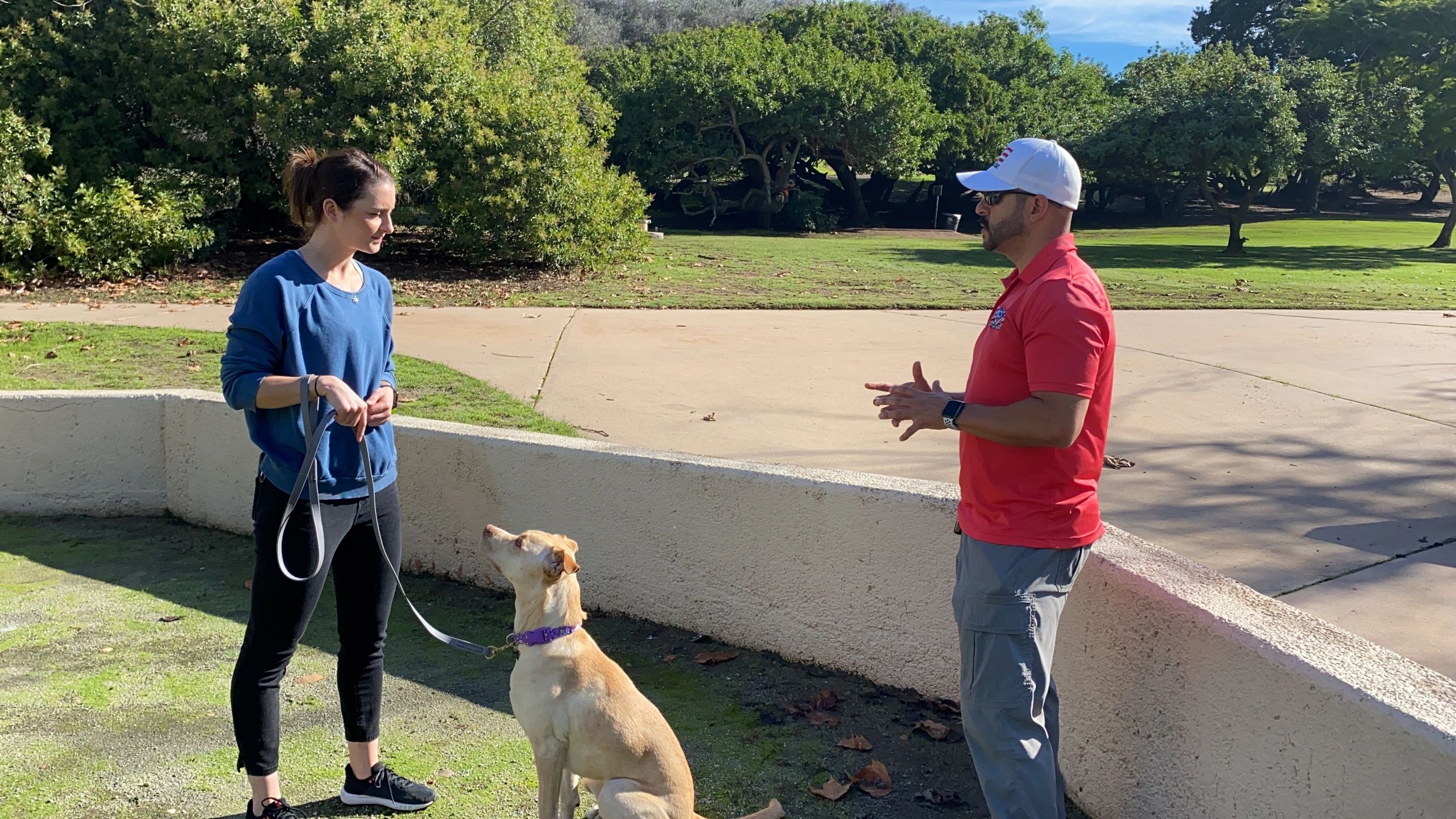 canine academy training