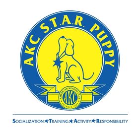 AKC Star Puppy, AKC Course, Puppy Course, Puppy Certification, AKC, Puppy Class, Puppy Classes,