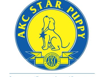 AKC Star Puppy, AKC Course, Puppy Course, Puppy Certification, AKC, Puppy Class, Puppy Classes,