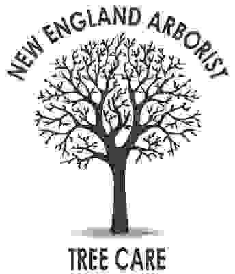 New England Arborist Tree Care
