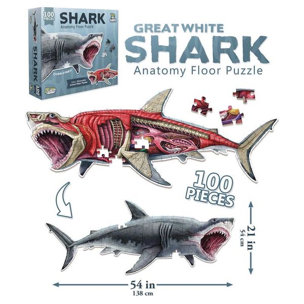 Genius Games - Animal Anatomy - Shark 100 Piece (2 Sided) Floor Puzzle