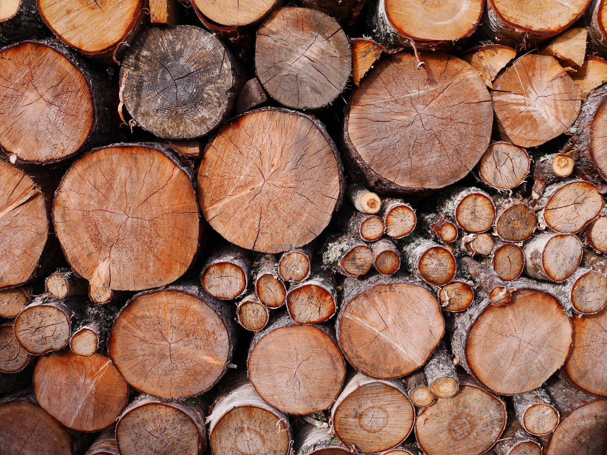 Call us today! Firewood, logging services, logging, land clearing, land management, select cutting, 
