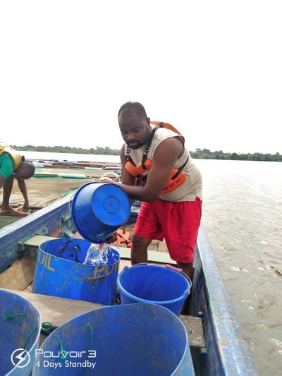 Mise à l'eau d'alevins de tilapia sur nos cages flottantes