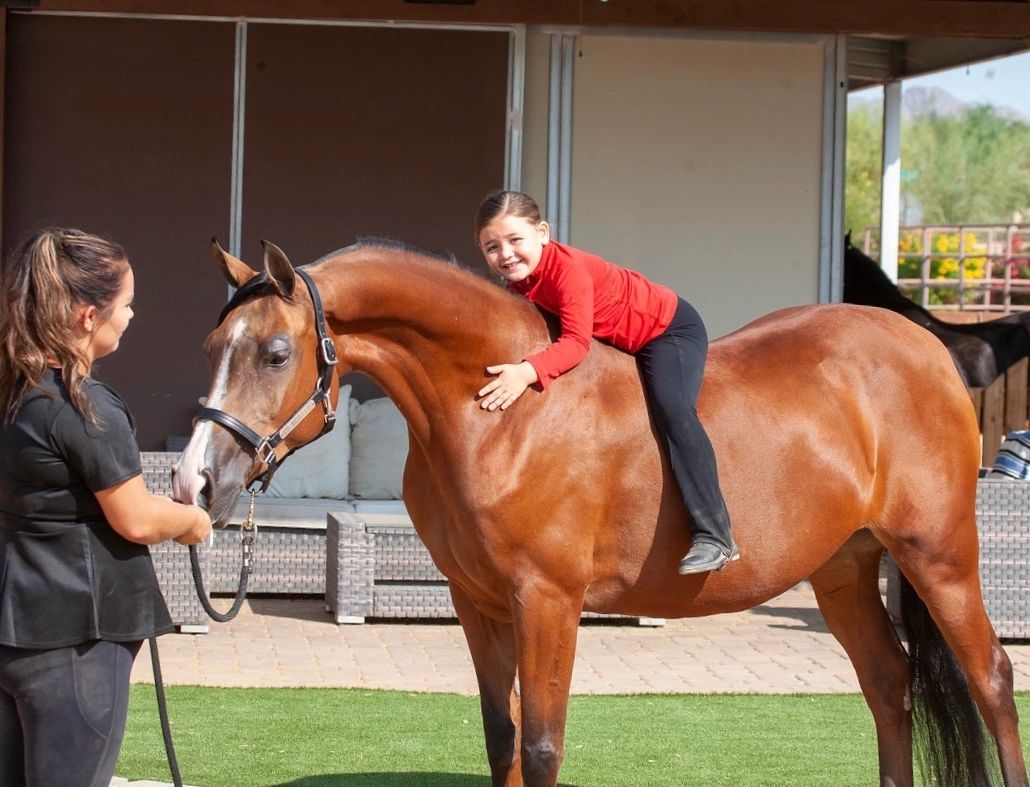 About Us Apex Riding Academy