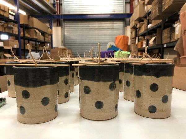NEW Limelight® Stoneware Spotty Pot