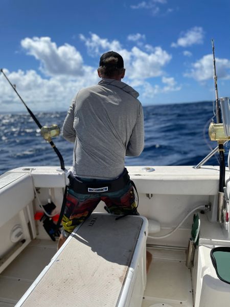Sea Boat Fishing Fighting Harness Stand Up Fishing Waist Belt Padded Big  Game
