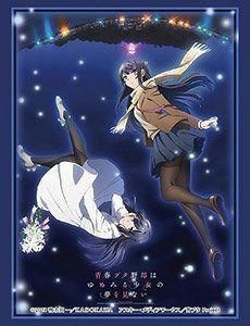 Sleeve Collection HG "Rascal Does Not Dream of a Dreaming Girl (Mai & Shoko)" Vol.2378 by Bushiroad