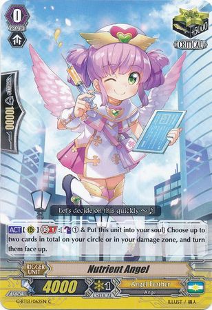G-BT13/062EN (C) Nutrient Angel