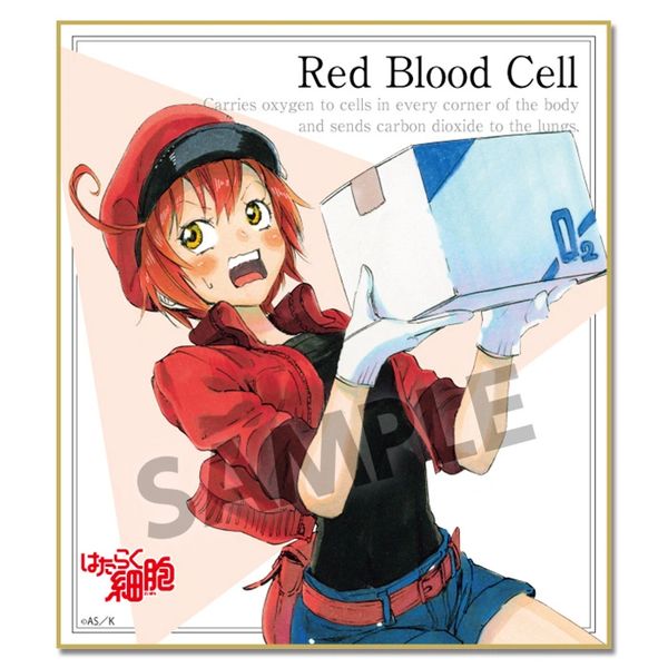 Trading Mini Shikishi "Cells at Work! (Red Blood Cell)" by Hobby Stock