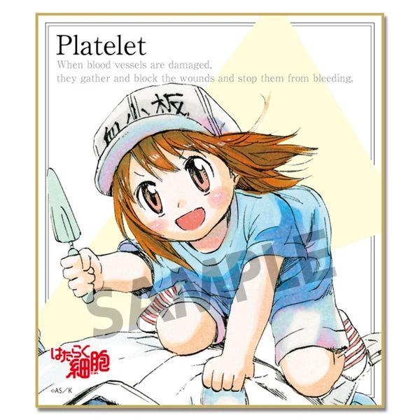 Trading Mini Shikishi "Cells at Work! (Platelet)" by Hobby Stock